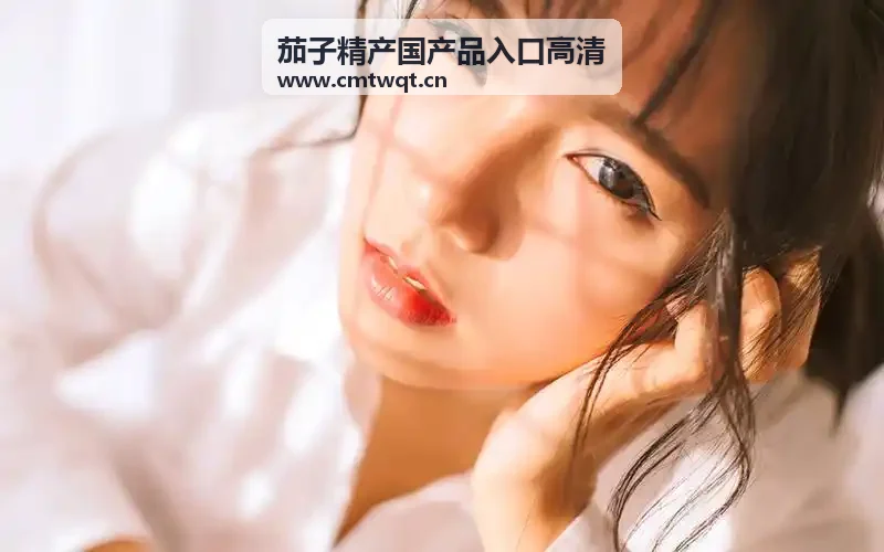 9.1网站平台OVA外传